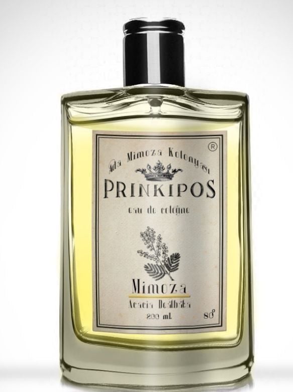 PRINKIPOS MİMOZA KOLONYASI