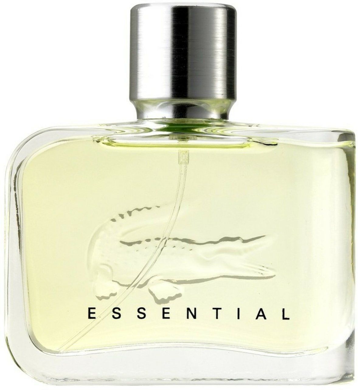 LACOSTE ESSENTIAL